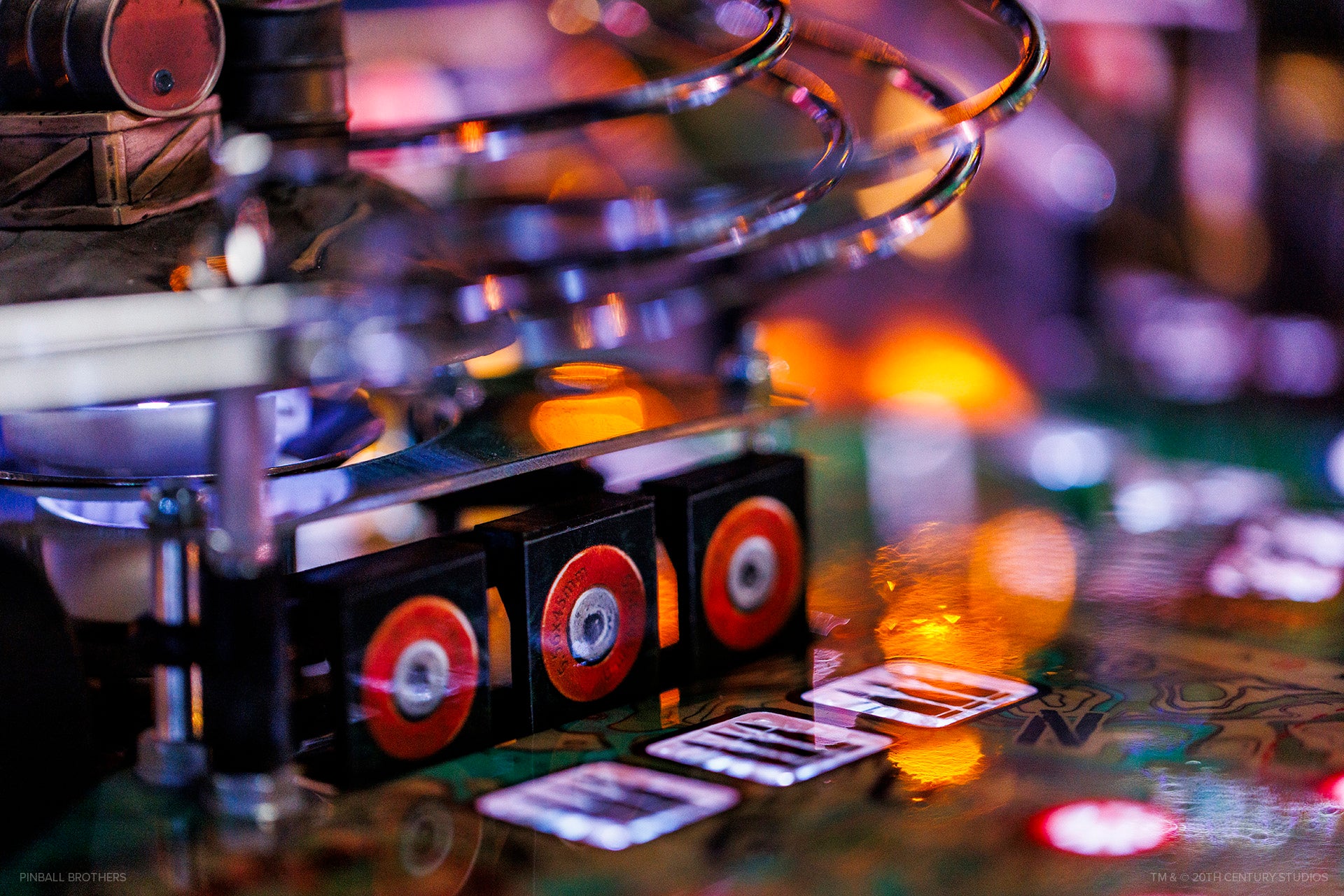 THE PREDATOR TROPHY EDITION- PREORDER