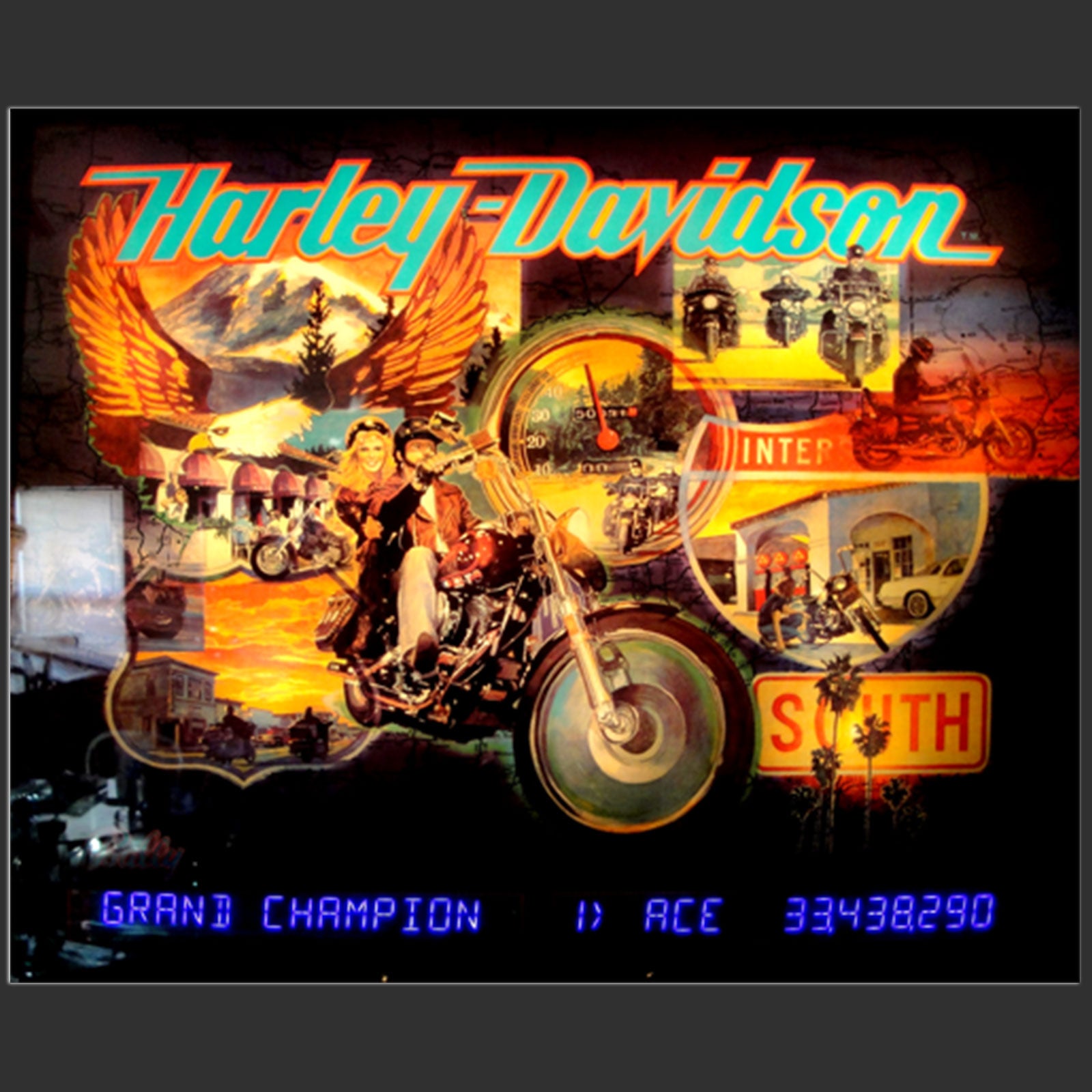 Nitro Pinball Sales Parts & Accessories XP-HARLEY / WILLIAMS WPC ALPHA DISPLAY: HARLEY DAVIDSON