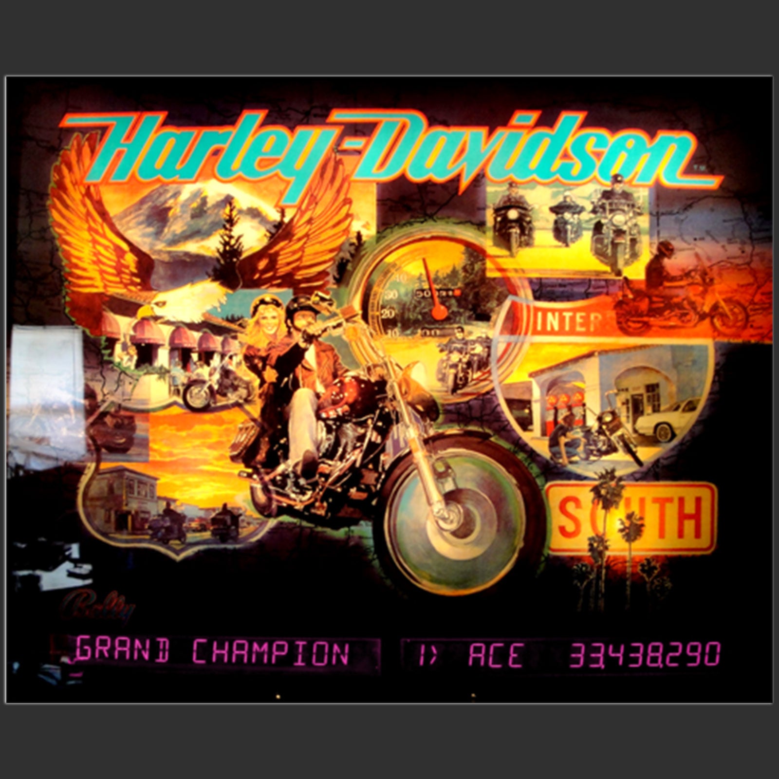 Nitro Pinball Sales Parts & Accessories XP-HARLEY / WILLIAMS WPC ALPHA DISPLAY: HARLEY DAVIDSON