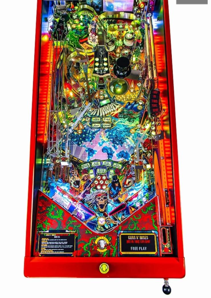 Guns N' Roses™ Limited Edition